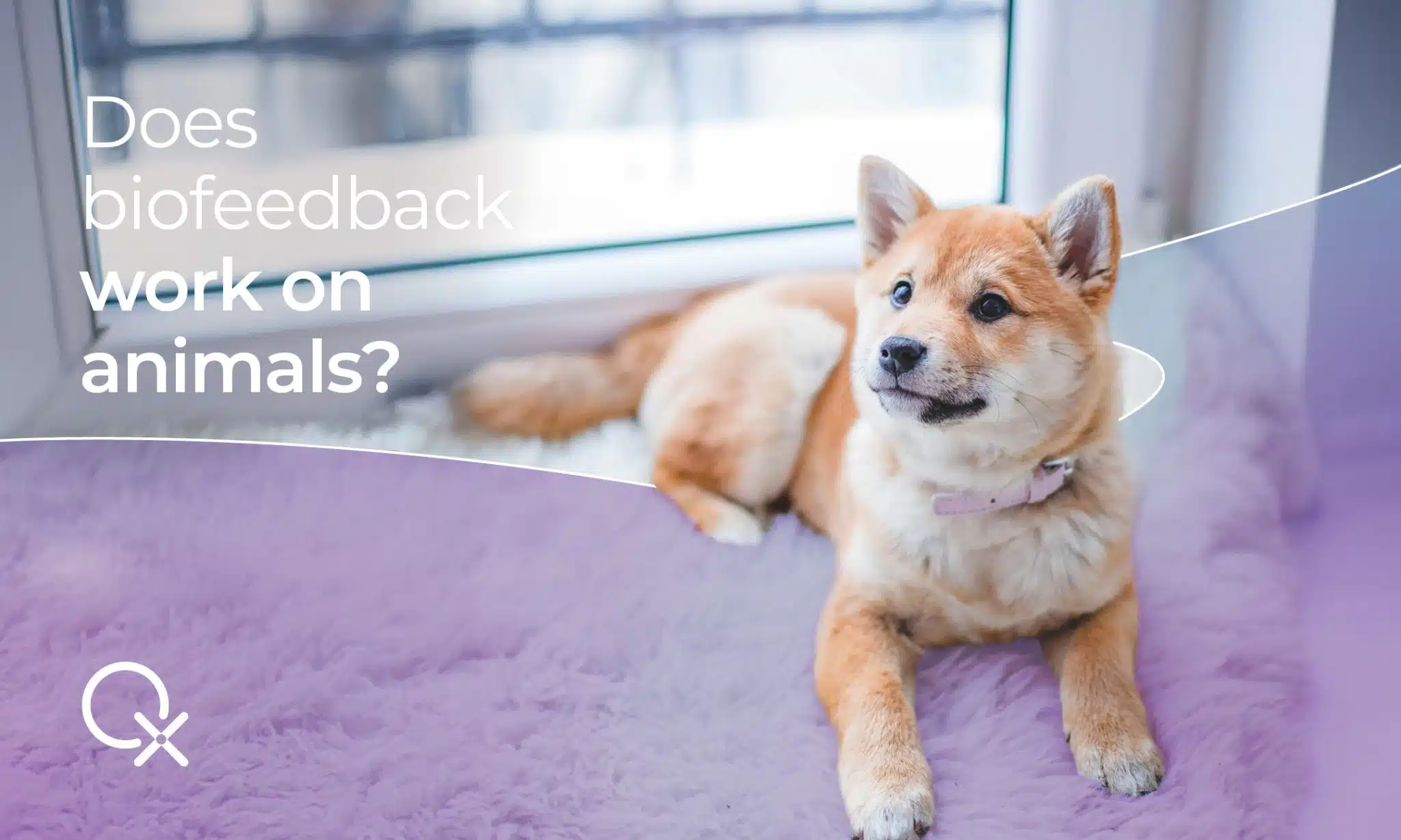 biofeedback animals